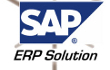 SAP solution